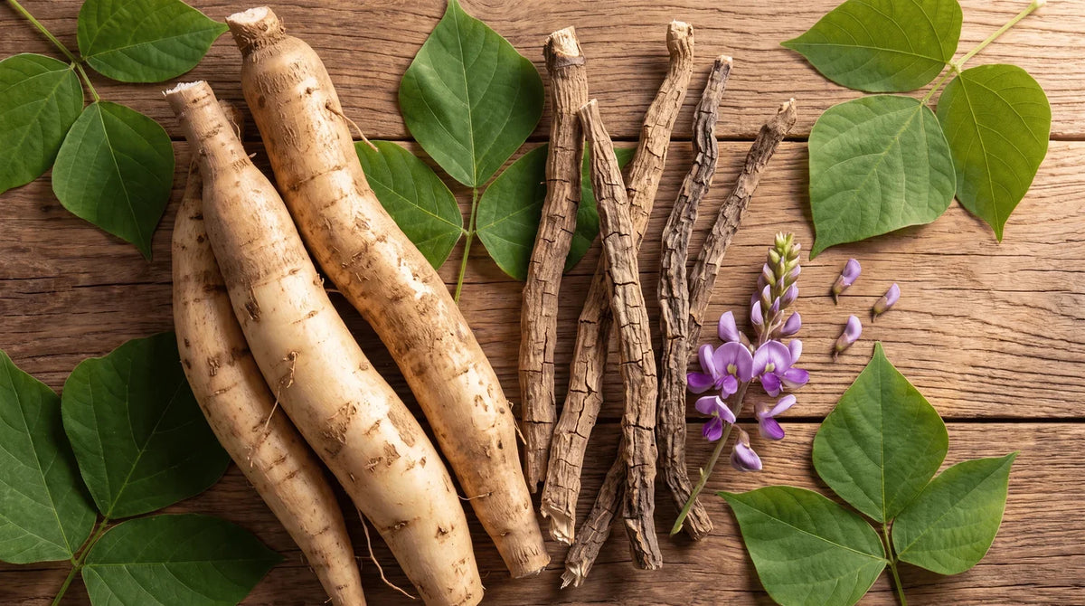 Kudzu et alcool : lequel choisir, posologie et quand le prendre Image